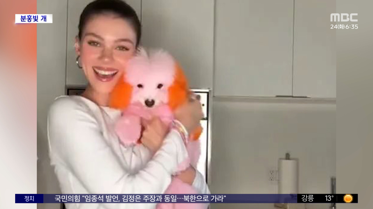 Beckham’s Family Embroiled in Controversy: What Really Happened to the Dog