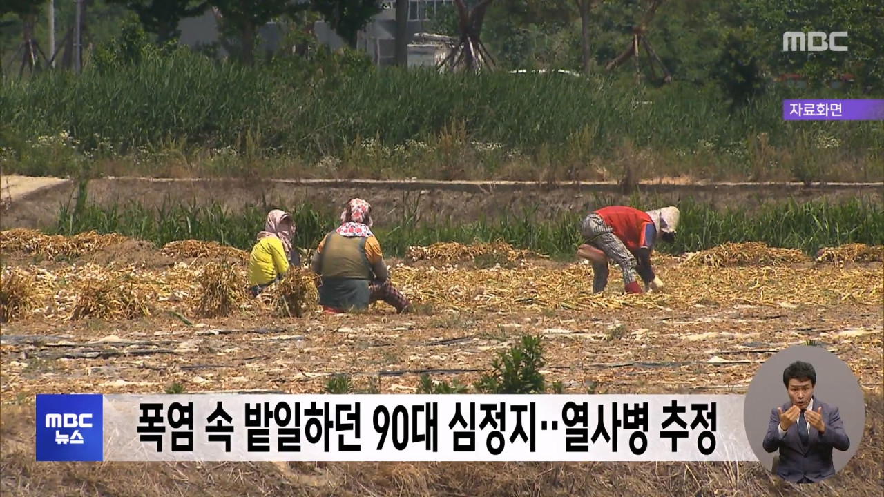 폭염 속 밭일하던 90대 심정지열사병 추정