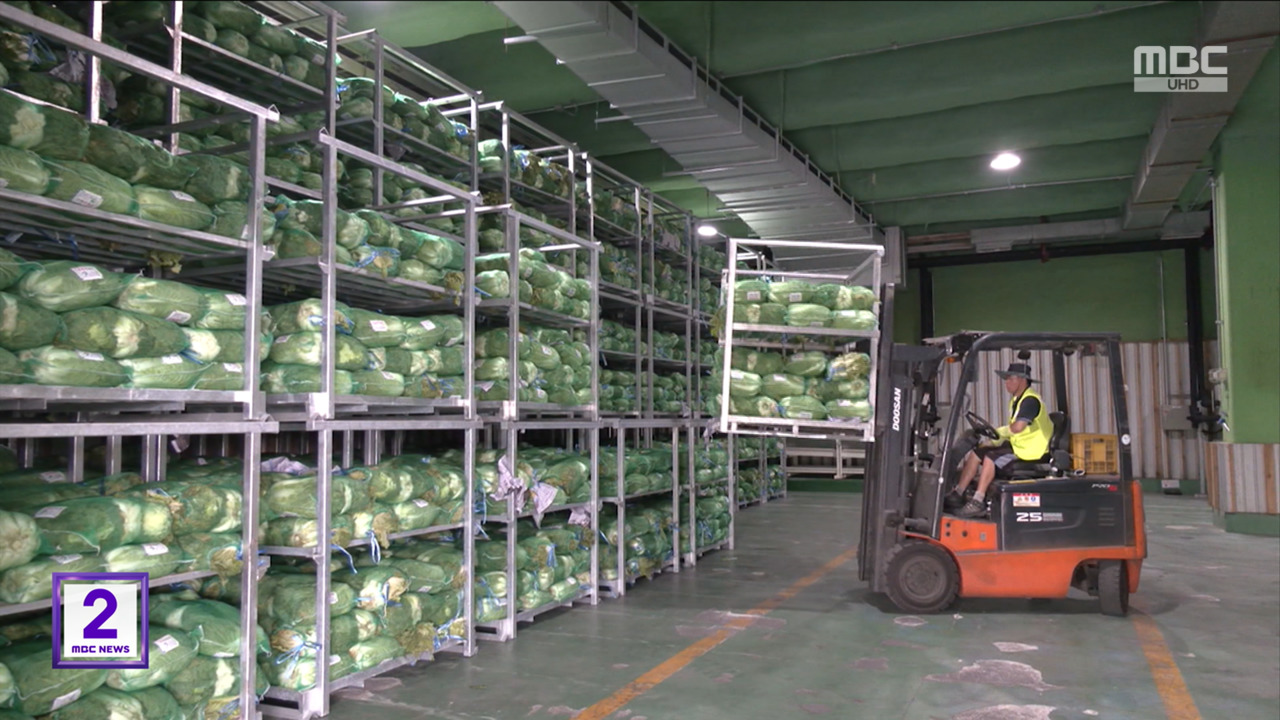 에그플레이션금배추 막아라물가 안정 총력