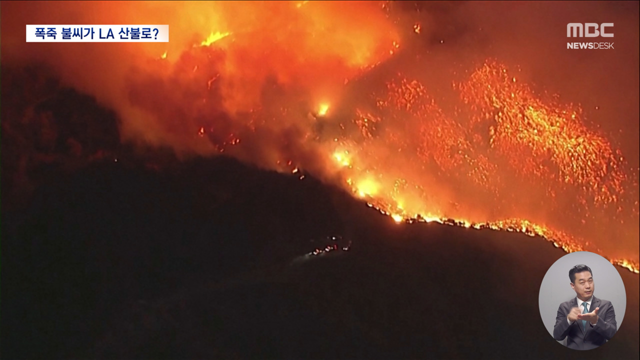 LA 최악 산불 사망자 24명새해맞이 폭죽 불씨가 원인