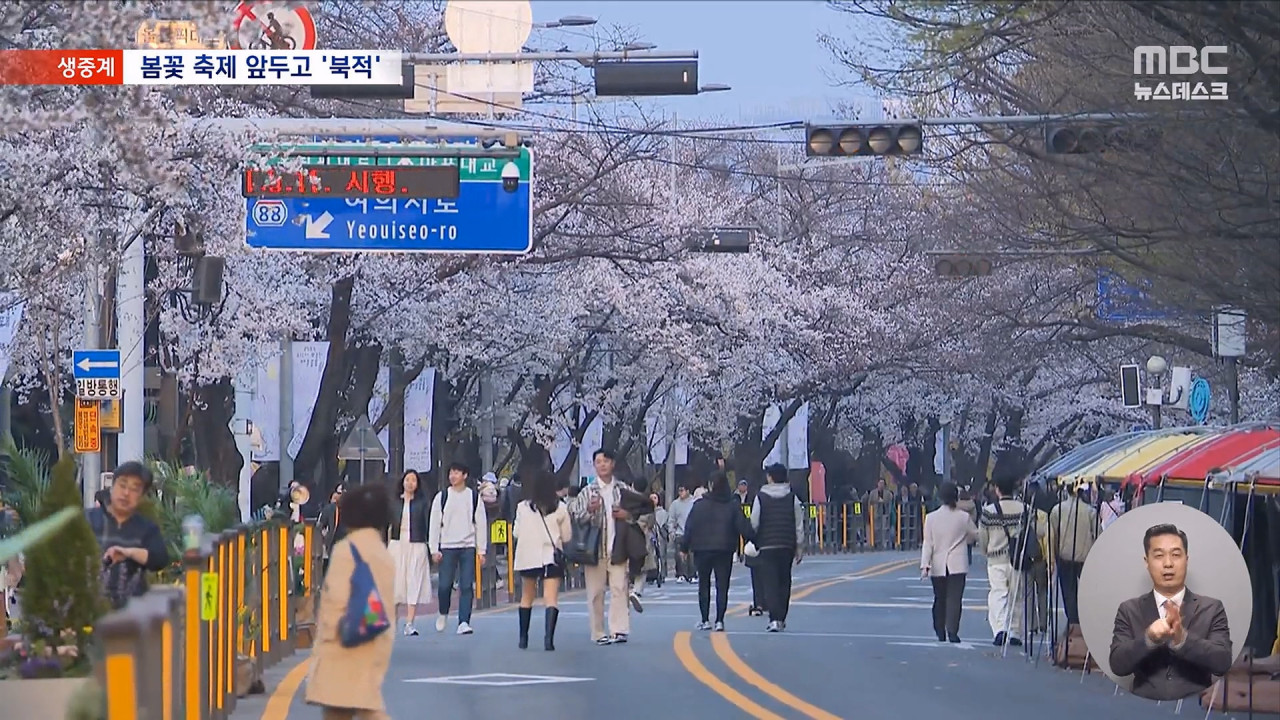 "이제야 마음 놓고 봄 만끽"내일부터 여의도 봄꽃 축제 시작