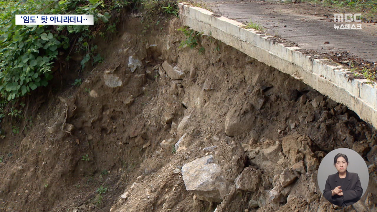 임도가 산사태 원인 아니라던 산림청"임도 조사해야" 의견 누락됐다