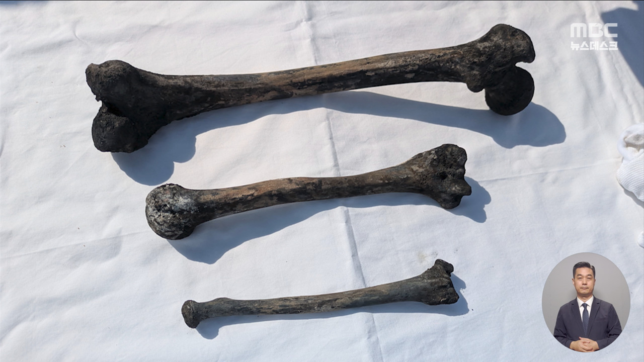 조선인 수몰 조세이탄광에서 유골 발견83년 만