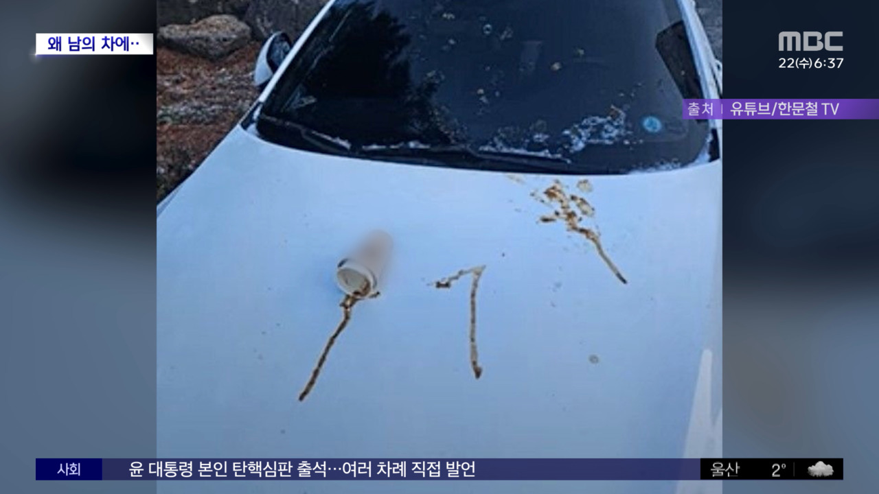 와글와글 버릴 데가 없어서 남의 차에커피 테러 황당