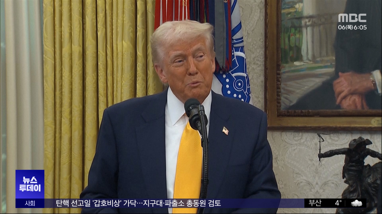 미국 멕시코캐나다산 수입차 관세 한 달 면제