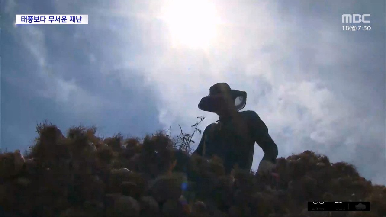 기후환경 리포트 올해 폭염은 슈퍼태풍보다 무서운 재난 수백 명 사망 경고