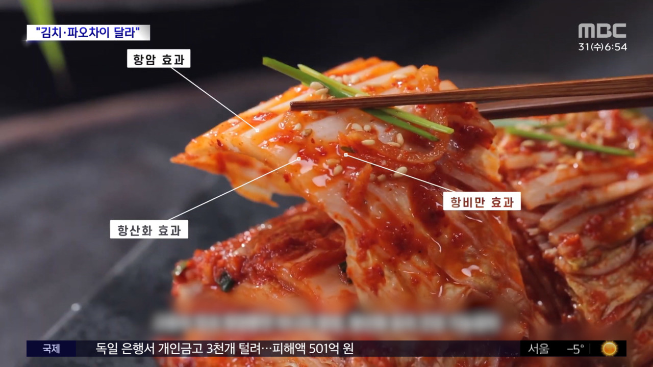 문화연예 플러스 문세윤서경덕 다국어 영상 공개