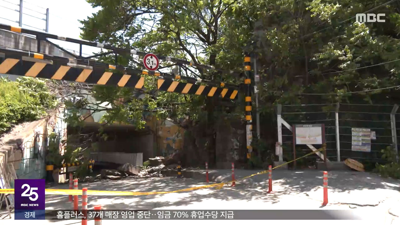 도심 강풍에 낙석 사망5m 안전불감증이 끝내