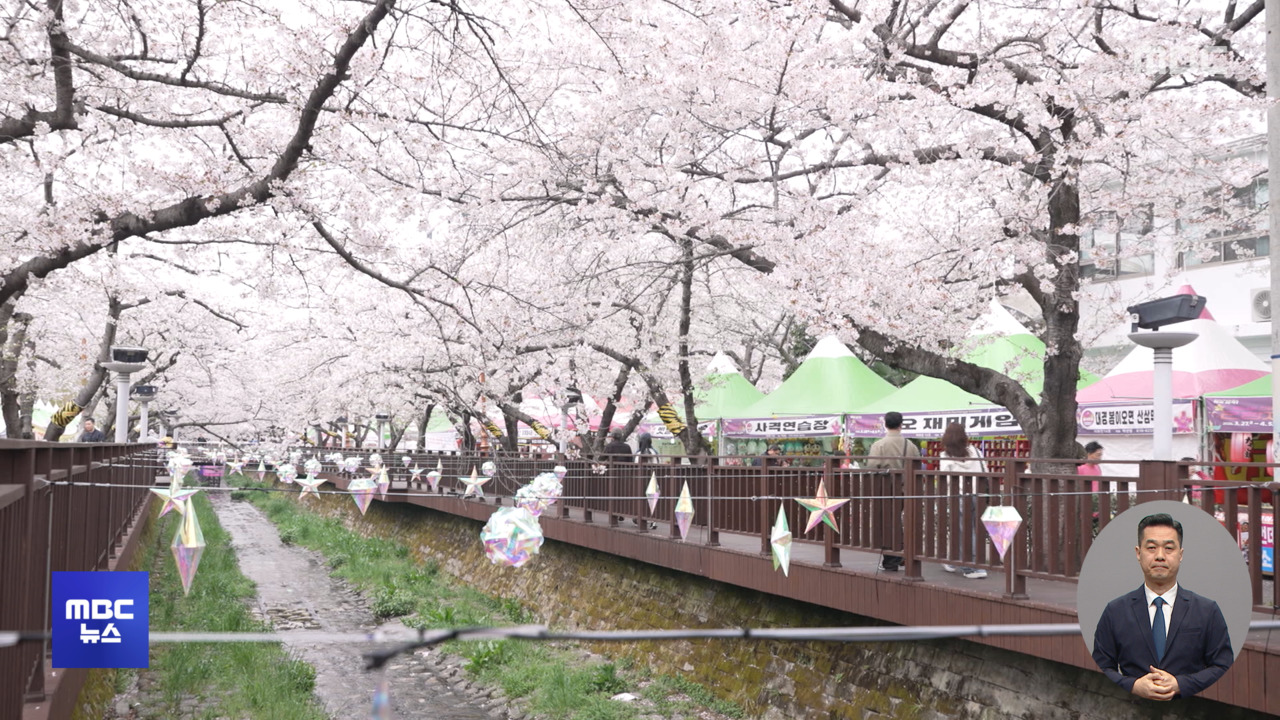 경남 진해부터 서울까지동시 개화 의미는