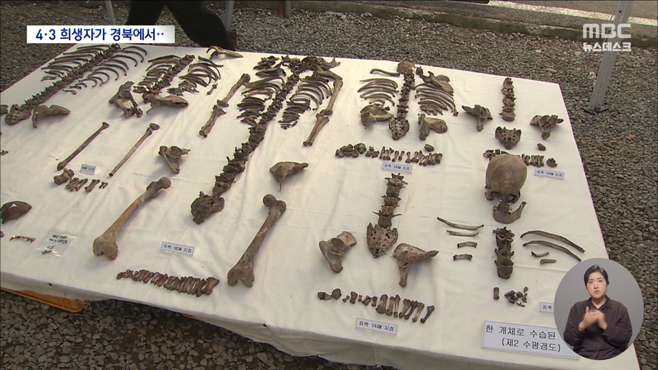 경북 광산에서 나온 제주도민 유해"마구 끌어다 학살했다"