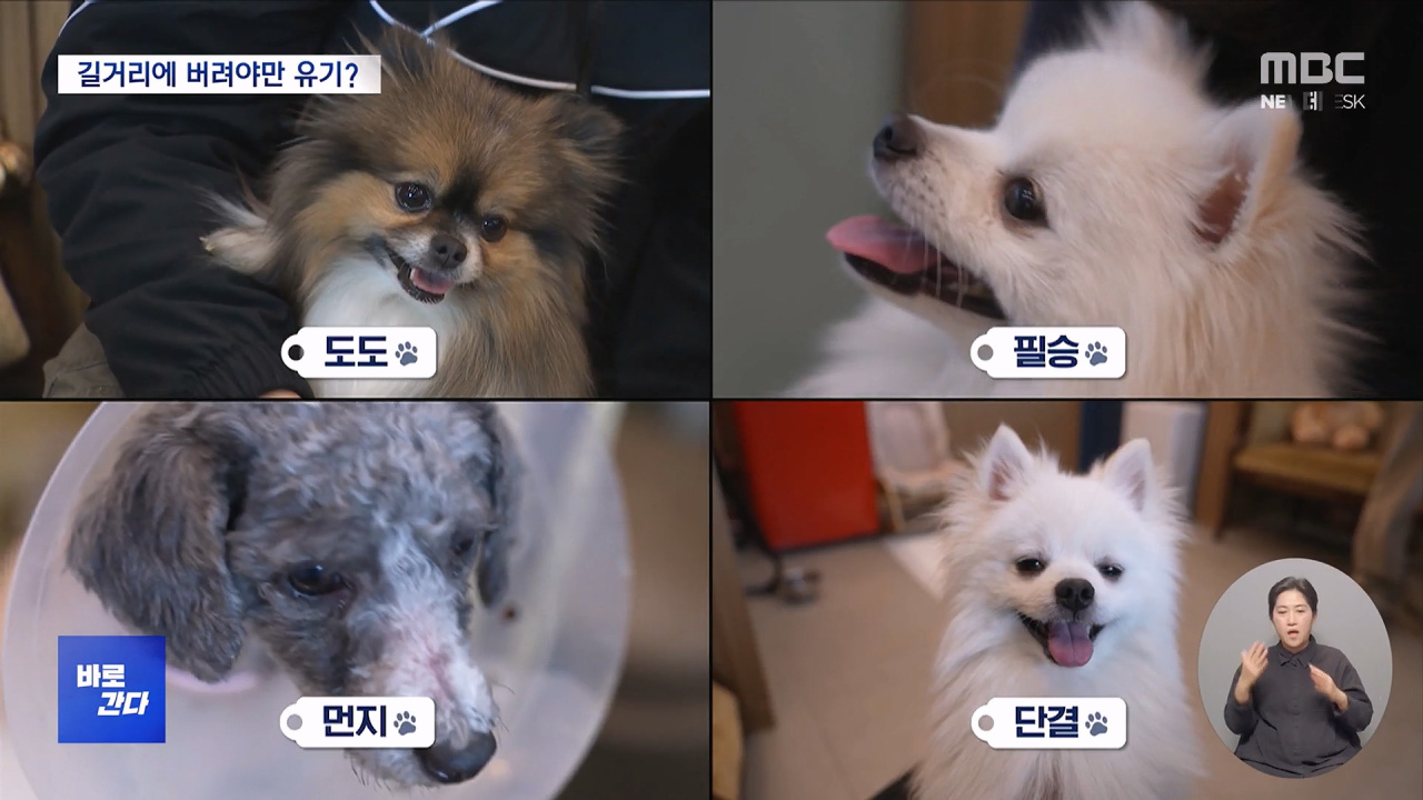 바로간다 호텔에 버린다고 다른가적반하장 주인도