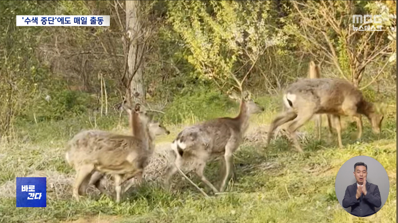 바로간다