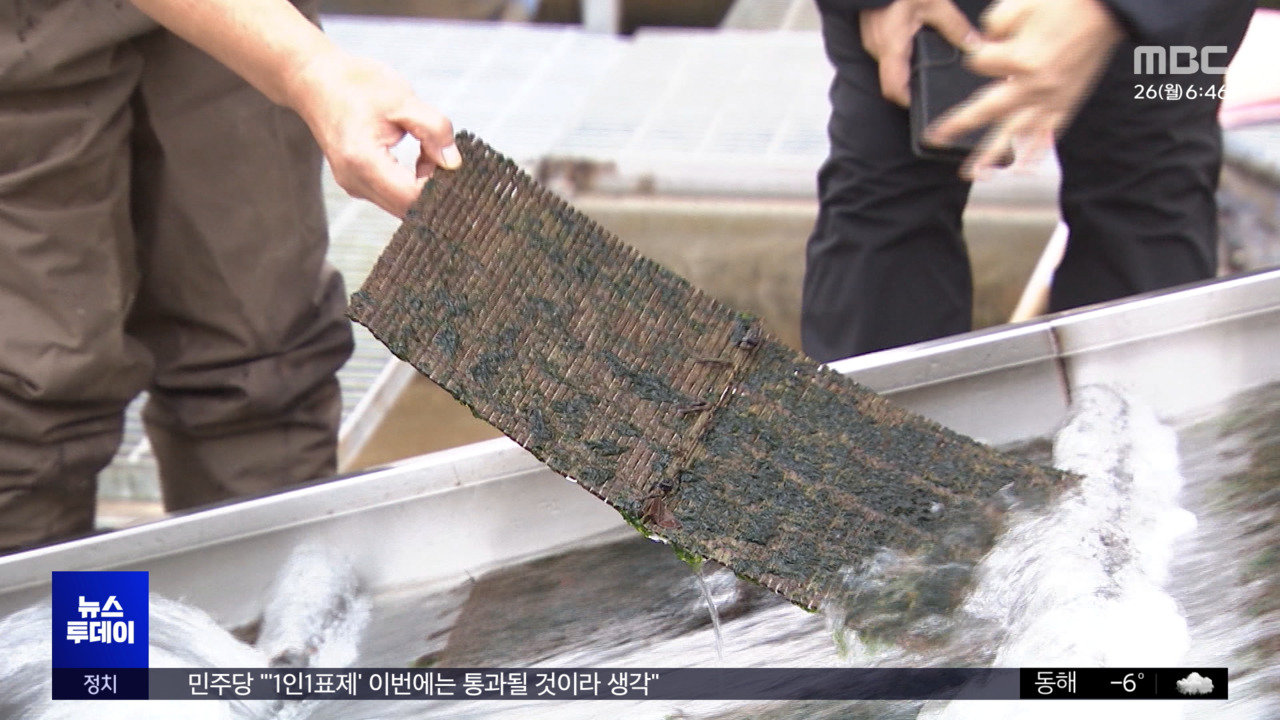 뜨거워지는 바다‥'검은 반도체' 이제 민물에서 - 뉴스 썸네일 이미지