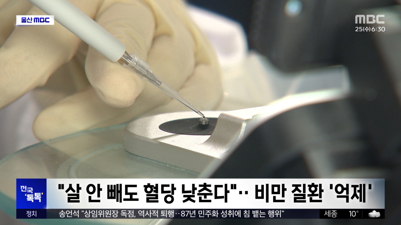 전국톡톡살안빼도혈당낮춘다비만질환억제