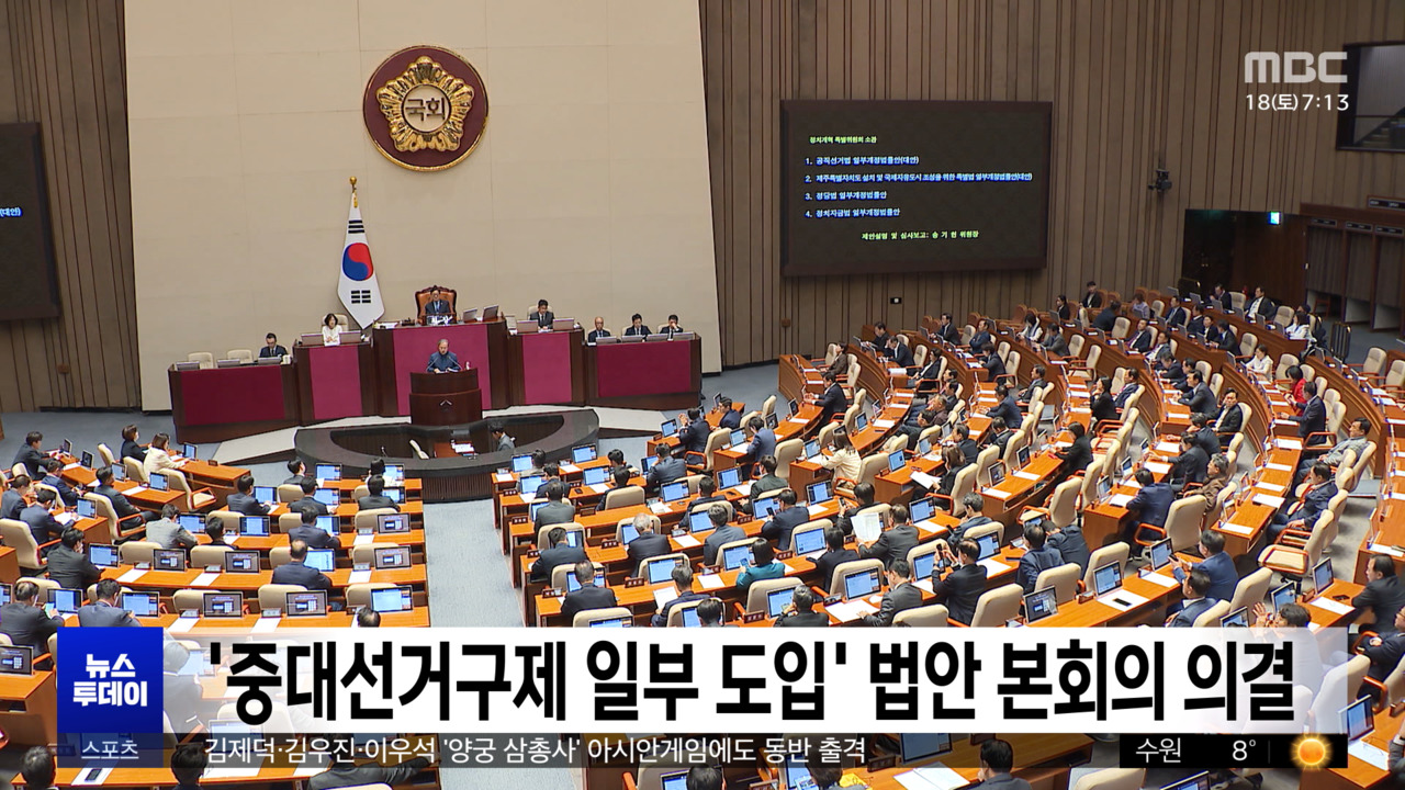 중대선거구제 일부 도입 법안 본회의 의결