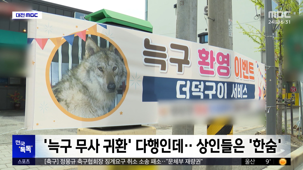 전국톡톡늑구무사귀환다행인데상인들은한숨
