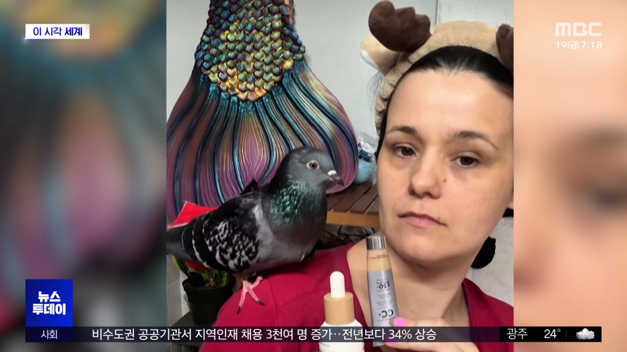 이 시각 세계 날개 달린 쥐에서 반려동물 트랜드로