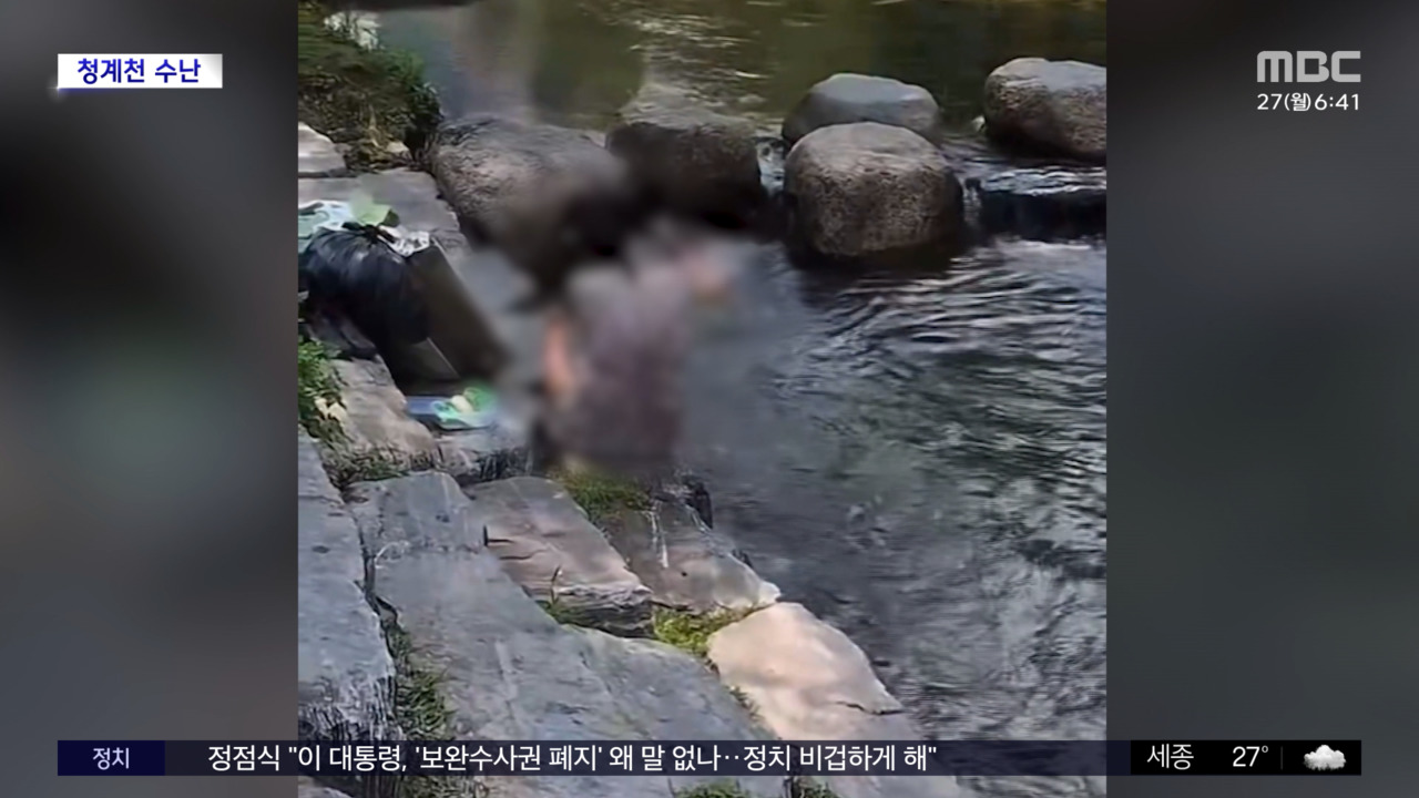 서울 대낮 청계천에서 물 끼얹고 때밀이 수건까지 돌린 황당녀 포착