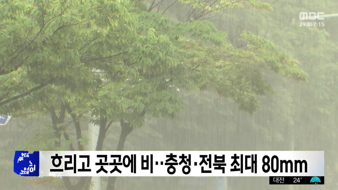 충청·전북 중심 최대 80mm 비…곳곳 돌풍·천둥·번개 동반