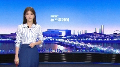 이미지 설명